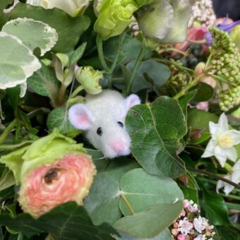 mouse tribute